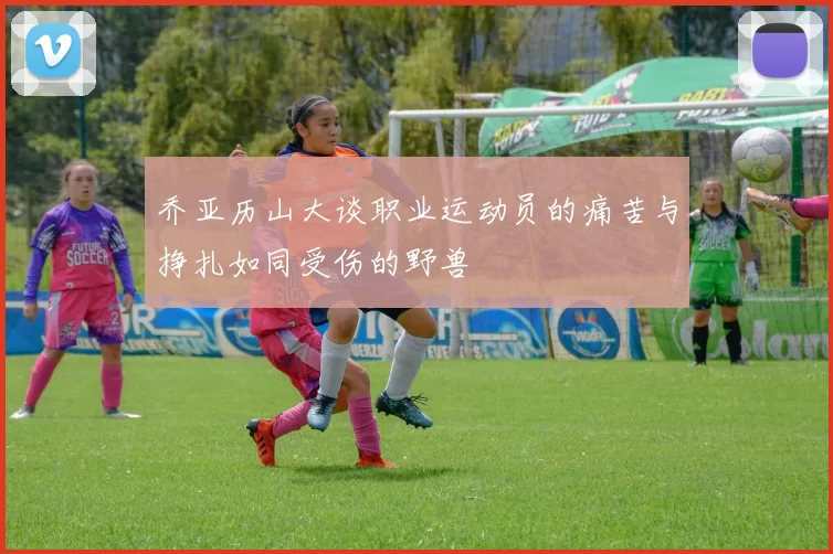 乔亚历山大谈职业运动员的痛苦与挣扎如同受伤的野兽