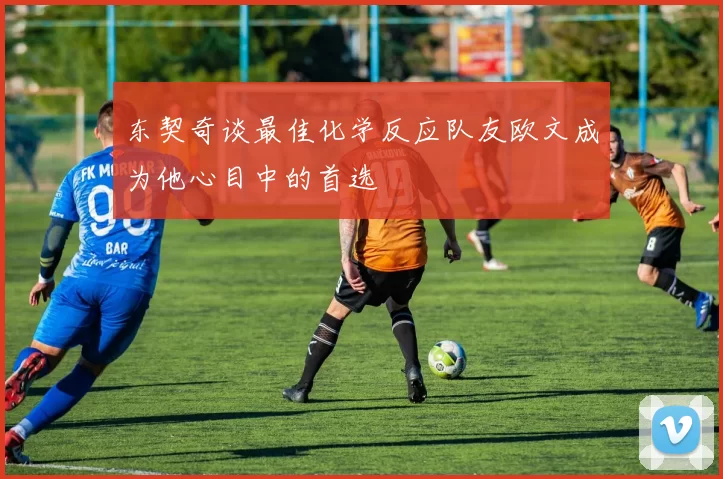 东契奇谈最佳化学反应队友欧文成为他心目中的首选