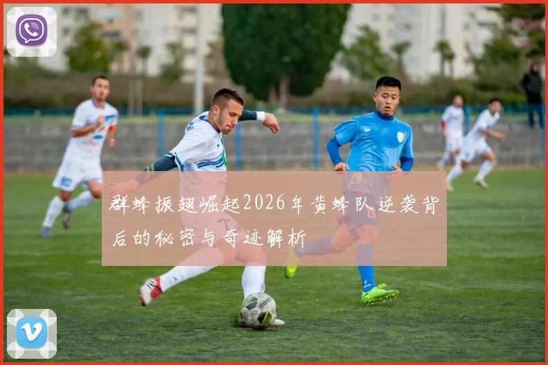 群蜂振翅崛起2026年黄蜂队逆袭背后的秘密与奇迹解析